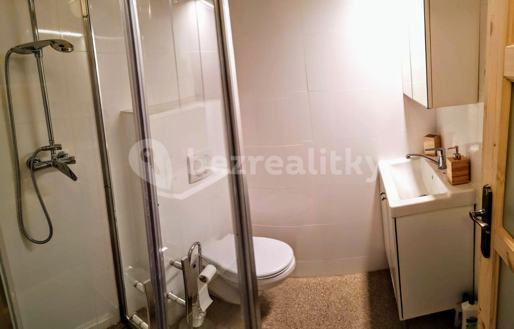 1 bedroom flat to rent, 43 m², Seifertova, Prague, Prague