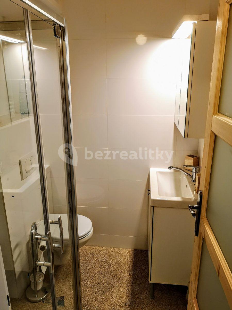 1 bedroom flat to rent, 43 m², Seifertova, Prague, Prague