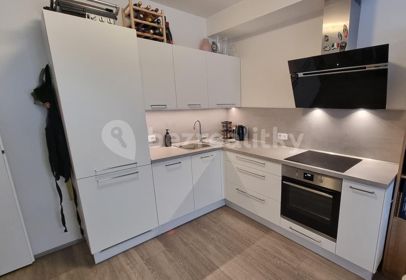 1 bedroom with open-plan kitchen flat to rent, 54 m², Honzíkova, Prague, Prague