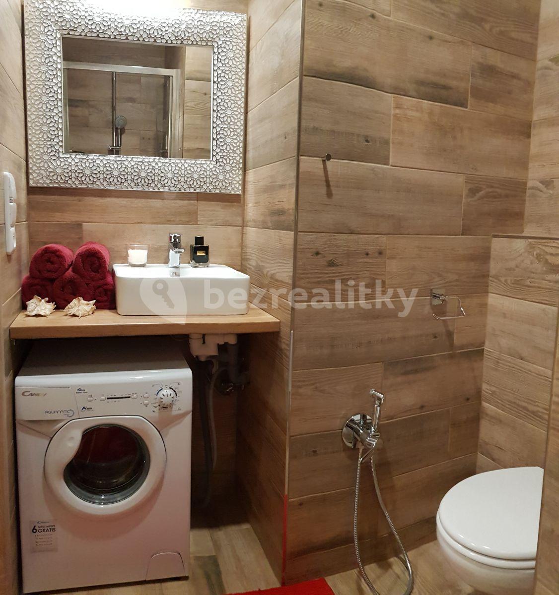 Small studio flat to rent, 27 m², Jeremenkova, Prague, Prague