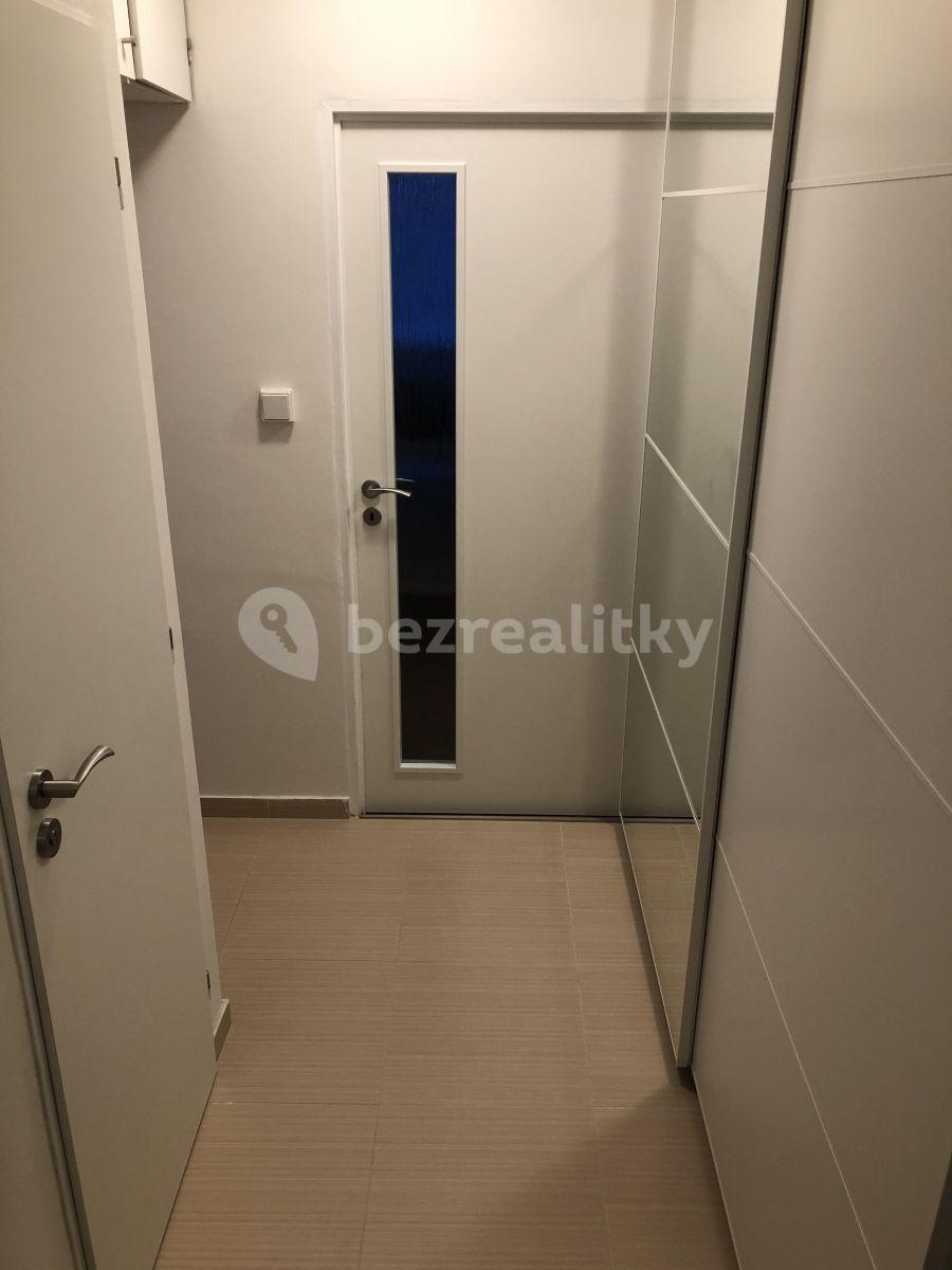 1 bedroom with open-plan kitchen flat to rent, 43 m², Nad Přehradou, Prague, Prague