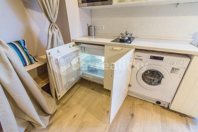 Studio flat to rent, 25 m², Plynární, Prague, Prague