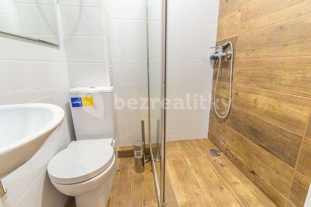 Studio flat to rent, 25 m², Plynární, Prague, Prague