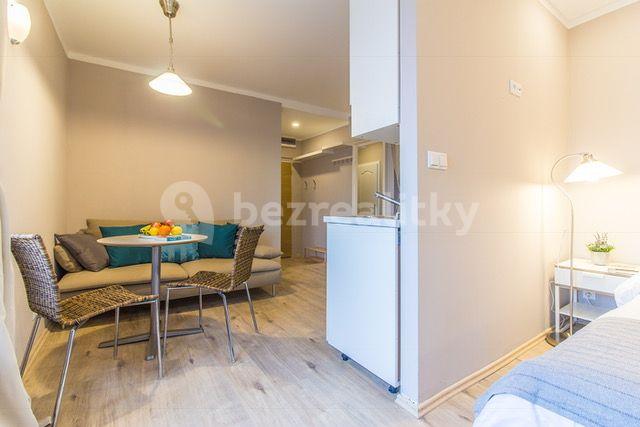 Studio flat to rent, 25 m², Plynární, Prague, Prague