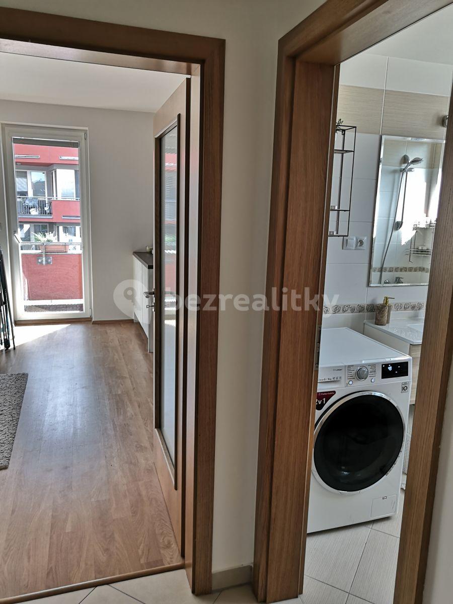 1 bedroom with open-plan kitchen flat to rent, 75 m², Pýchavková, Prague, Prague