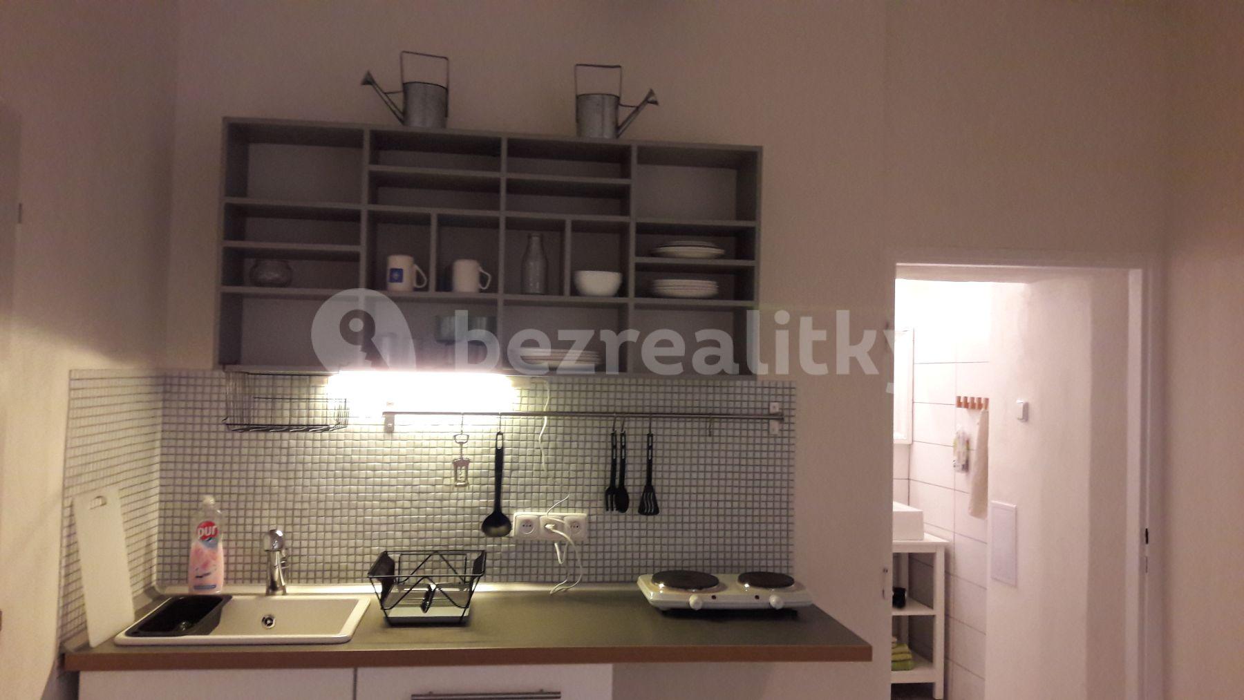 Studio flat to rent, 40 m², Vodičkova, Prague, Prague