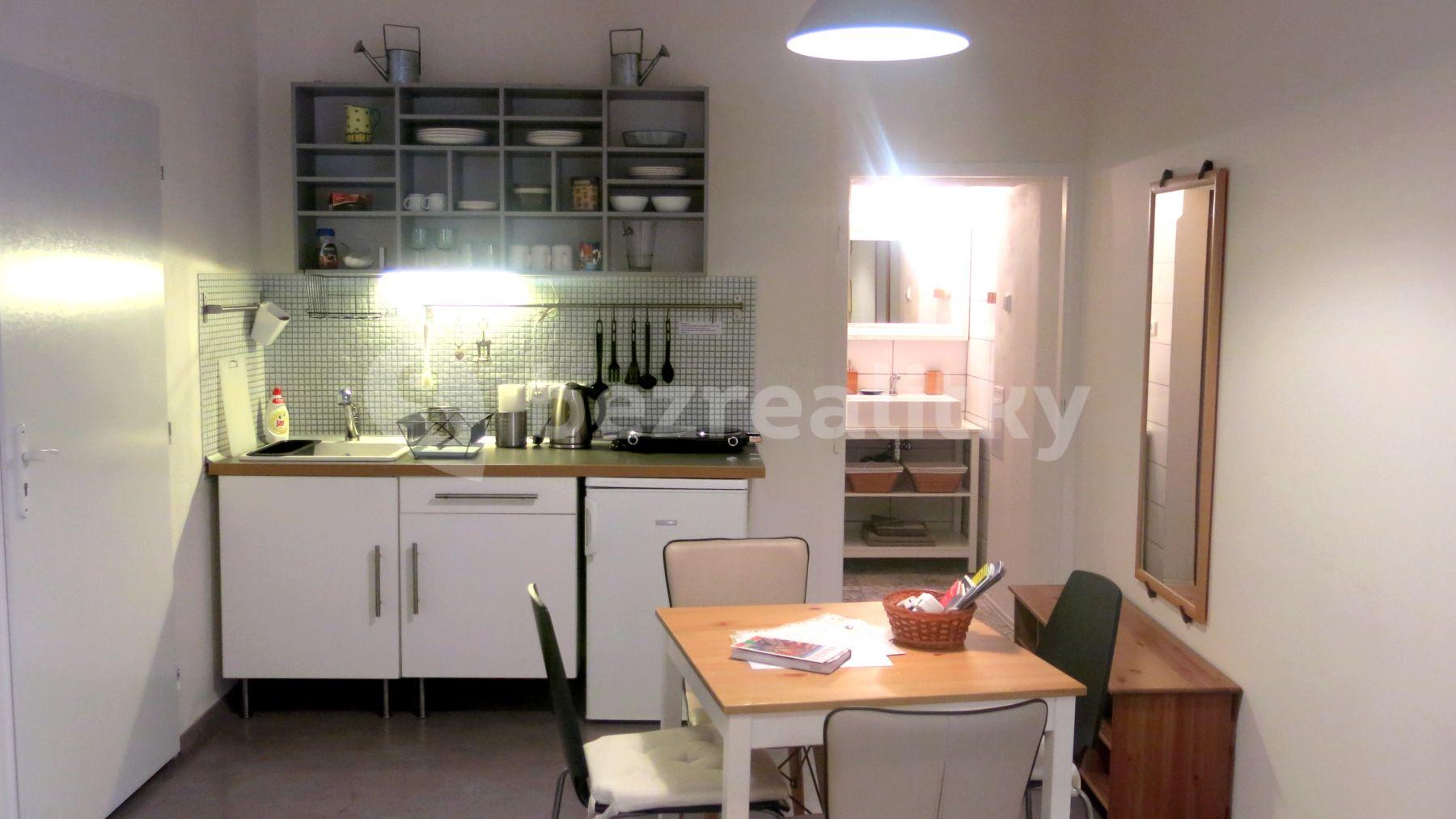 Studio flat to rent, 40 m², Vodičkova, Prague, Prague