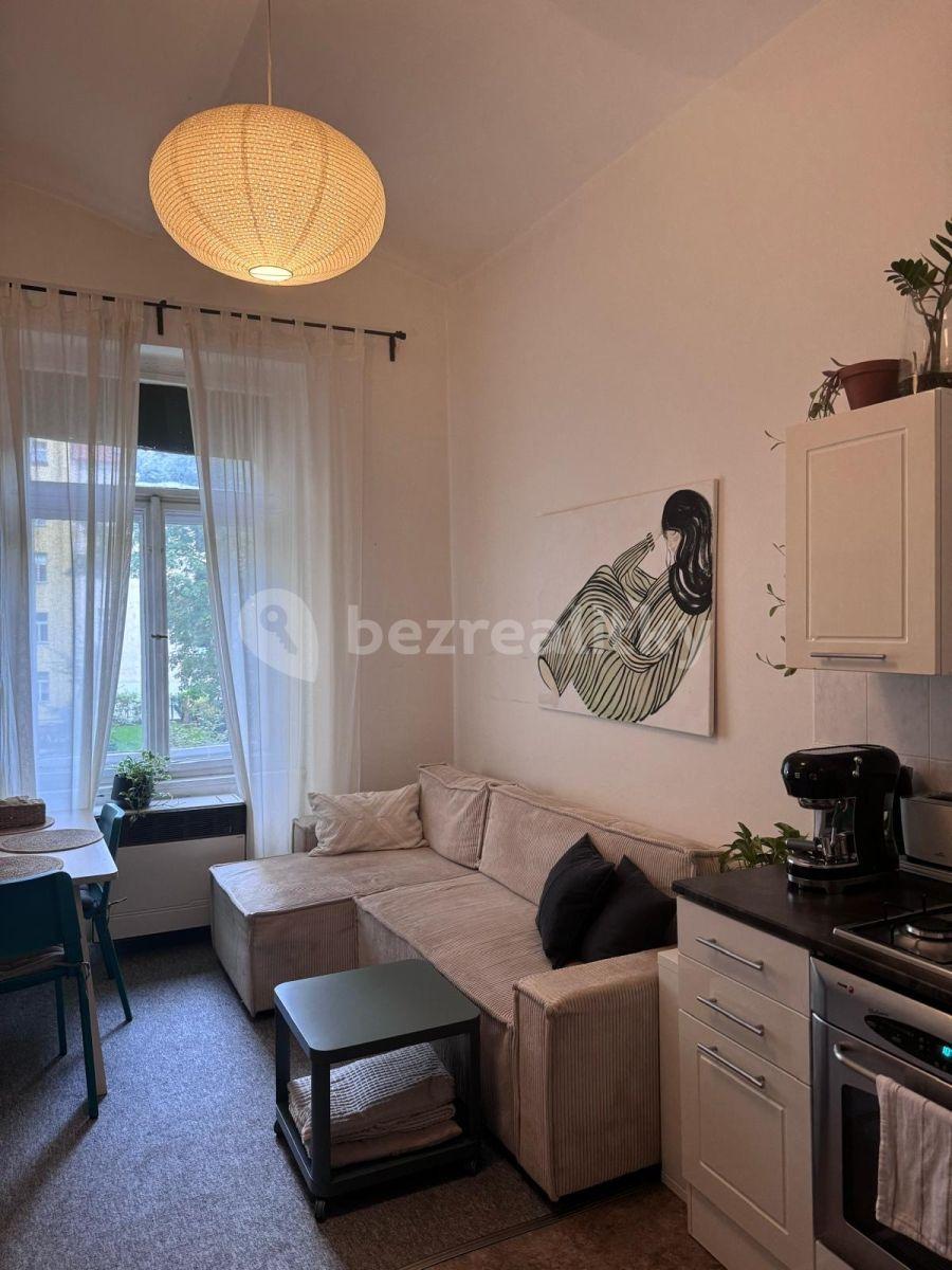 1 bedroom with open-plan kitchen flat to rent, 55 m², Urxova, Prague, Prague