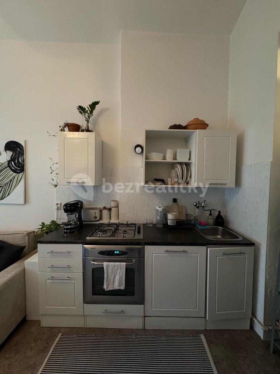 1 bedroom with open-plan kitchen flat to rent, 55 m², Urxova, Prague, Prague