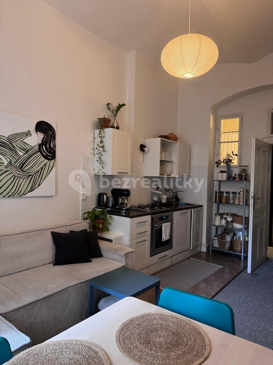 1 bedroom with open-plan kitchen flat to rent, 55 m², Urxova, Prague, Prague