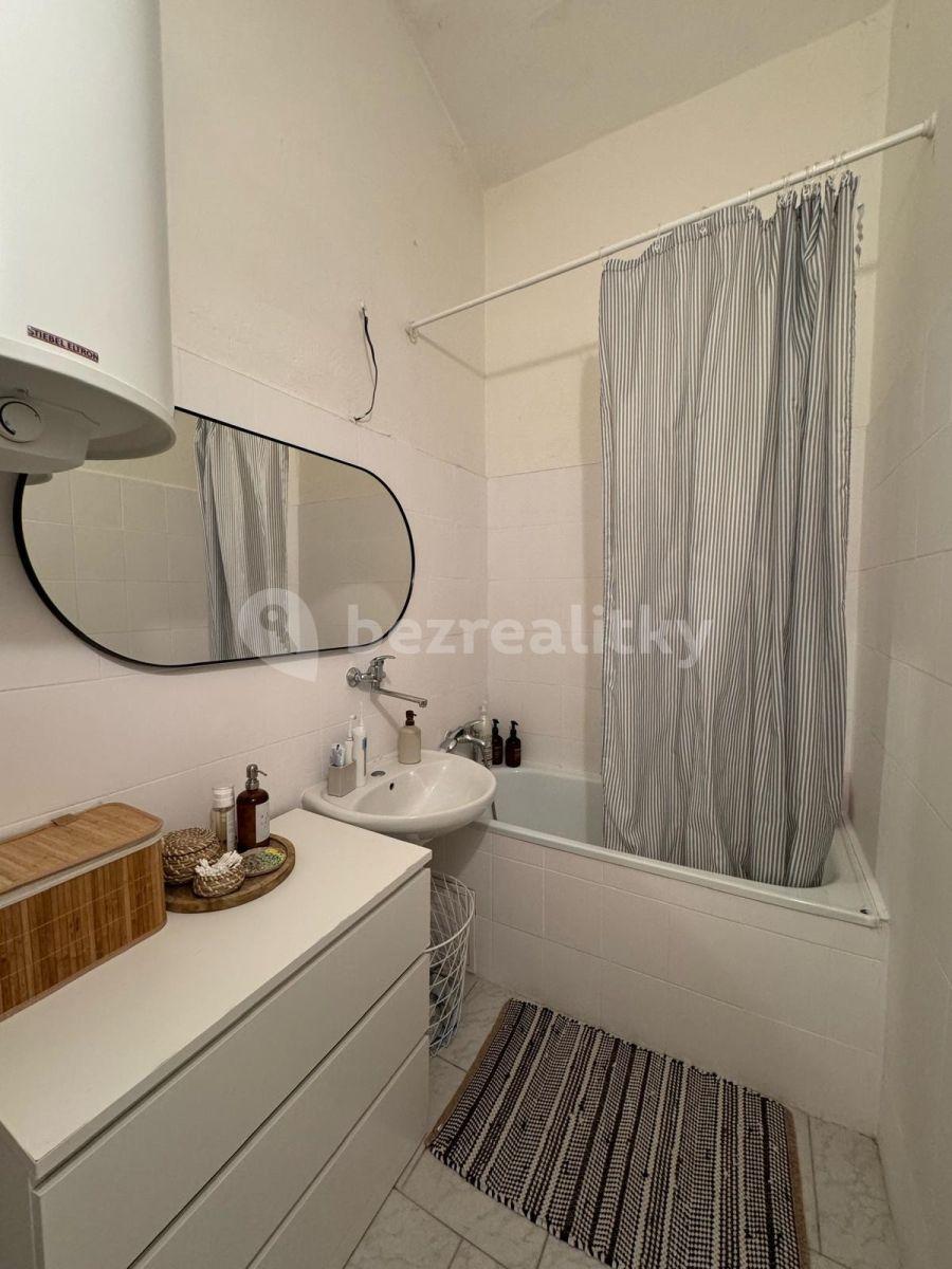 1 bedroom with open-plan kitchen flat to rent, 55 m², Urxova, Prague, Prague