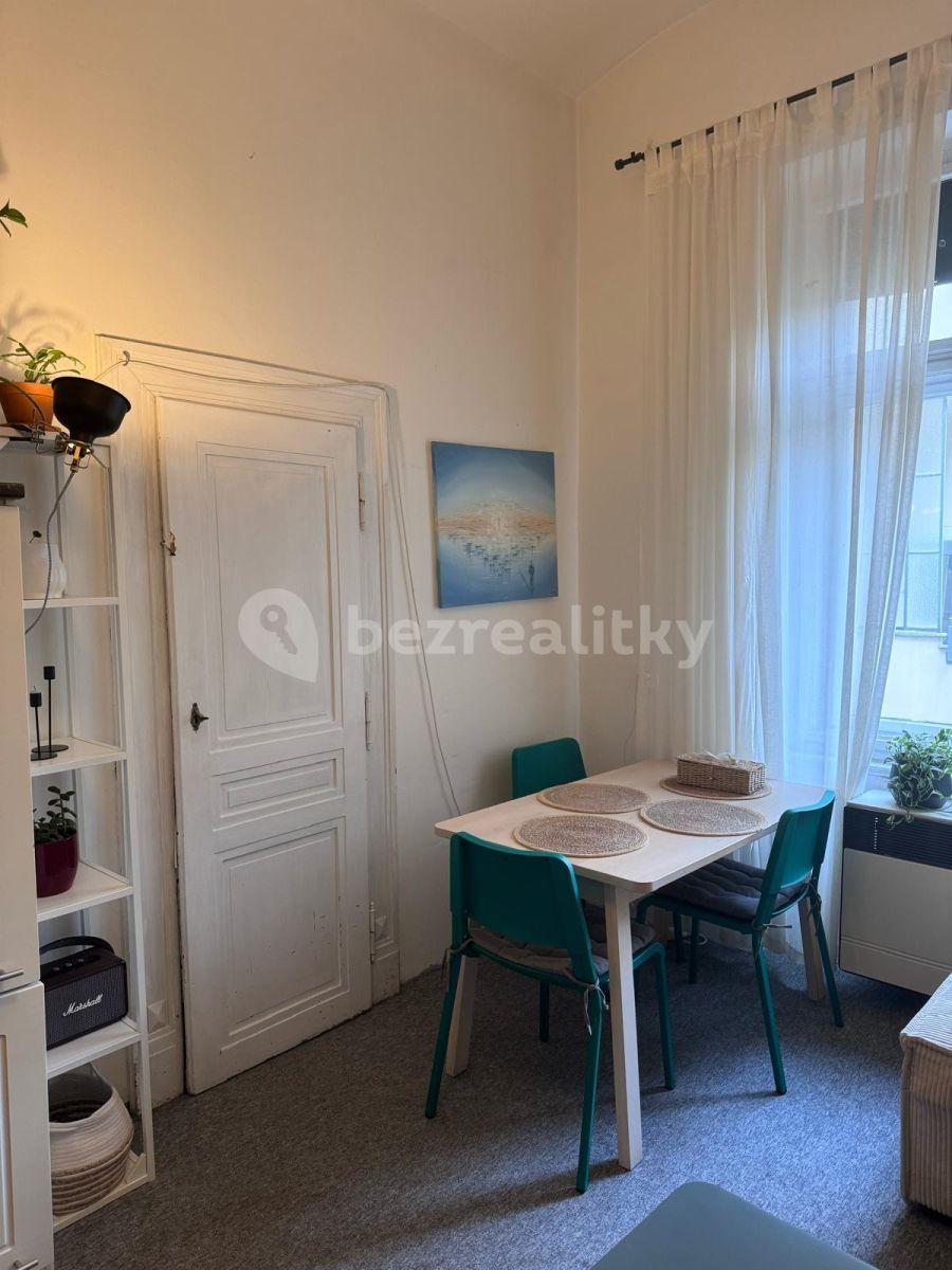 1 bedroom with open-plan kitchen flat to rent, 55 m², Urxova, Prague, Prague