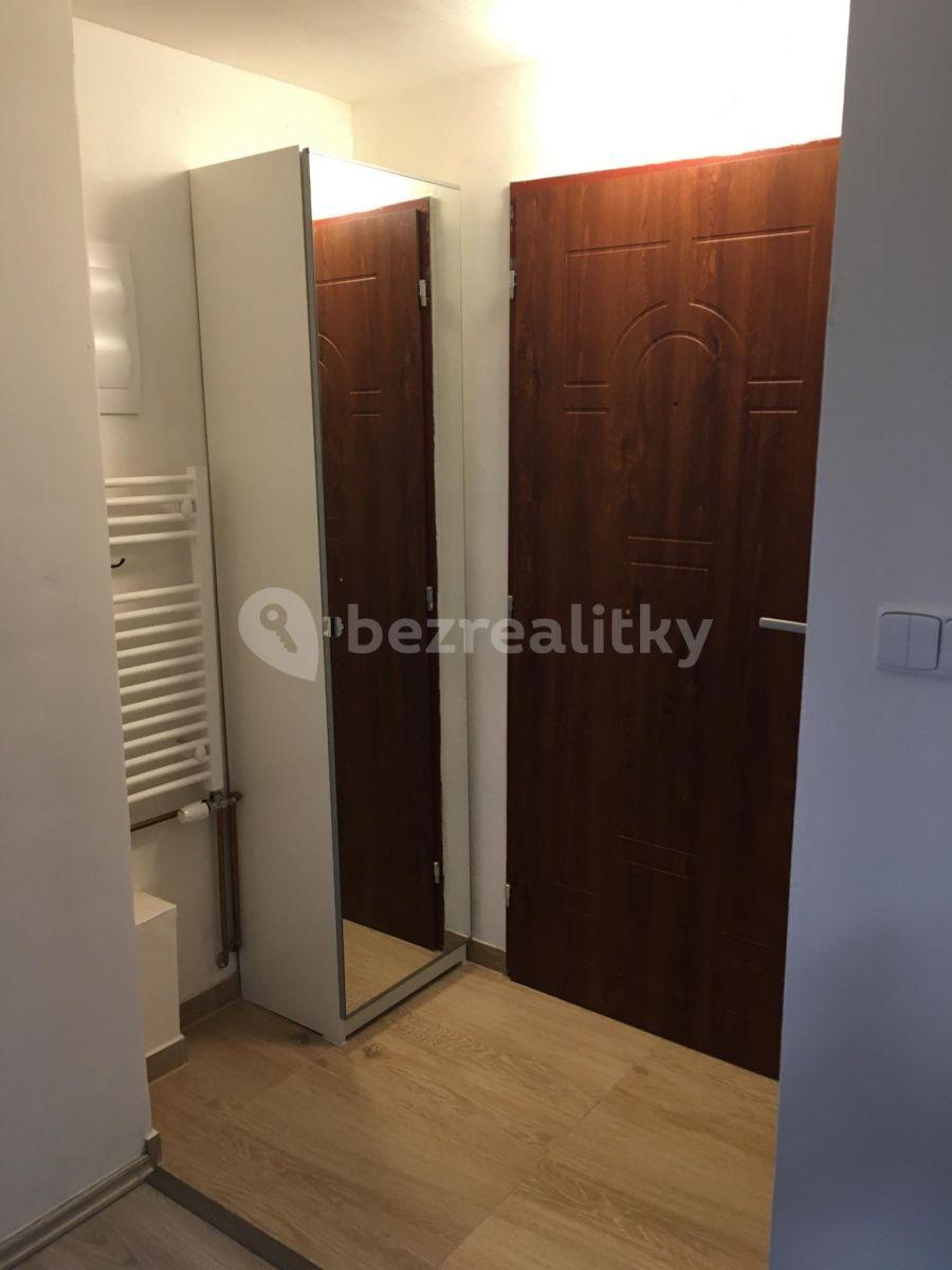 Studio flat to rent, 30 m², Nad Vodovodem, Prague, Prague