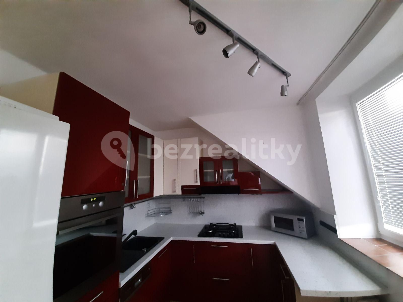 1 bedroom with open-plan kitchen flat to rent, 50 m², Kladenská, Prague, Prague