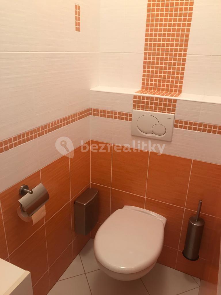 1 bedroom with open-plan kitchen flat to rent, 50 m², Kladenská, Prague, Prague