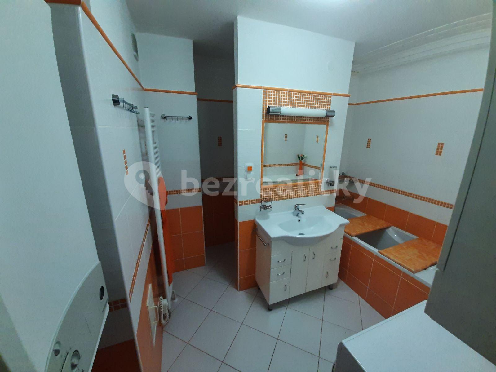 1 bedroom with open-plan kitchen flat to rent, 50 m², Kladenská, Prague, Prague