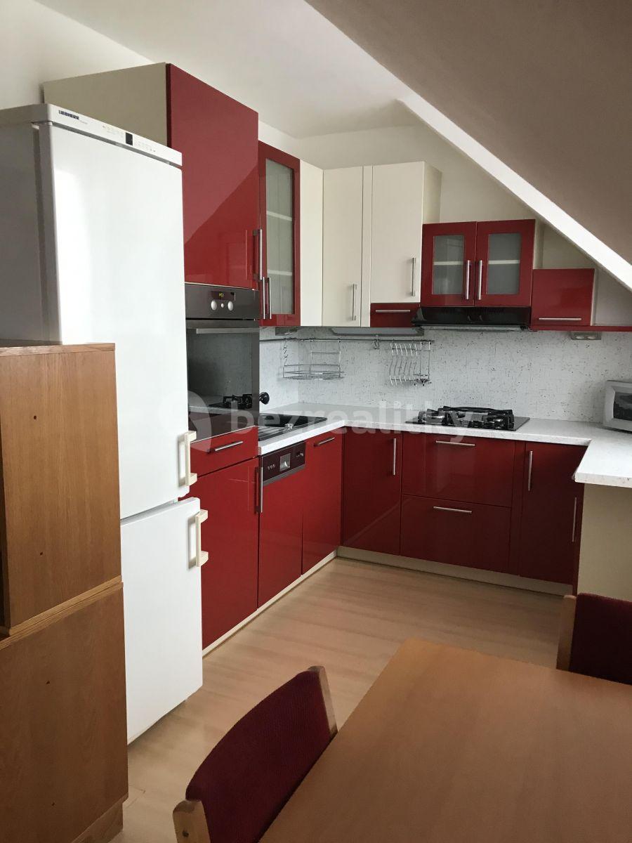 1 bedroom with open-plan kitchen flat to rent, 50 m², Kladenská, Prague, Prague