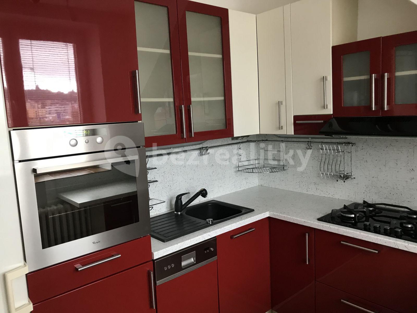 1 bedroom with open-plan kitchen flat to rent, 50 m², Kladenská, Prague, Prague