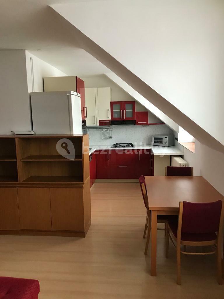 1 bedroom with open-plan kitchen flat to rent, 50 m², Kladenská, Prague, Prague