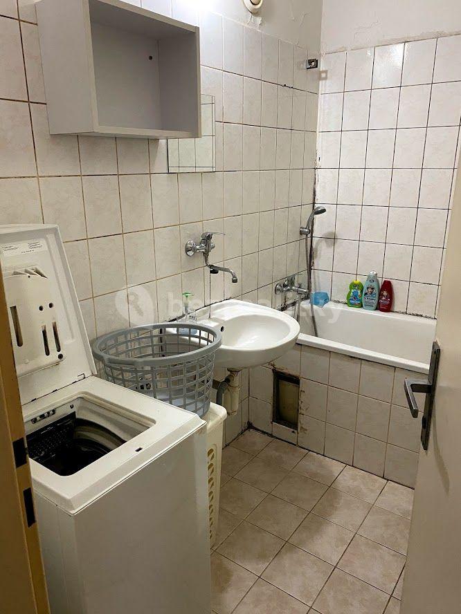 2 bedroom with open-plan kitchen flat to rent, 54 m², Bryksova, Prague, Prague