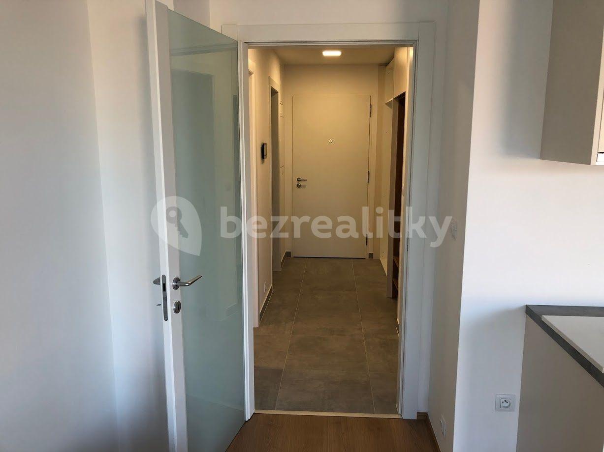 1 bedroom with open-plan kitchen flat to rent, 52 m², V jehličí, Prague, Prague