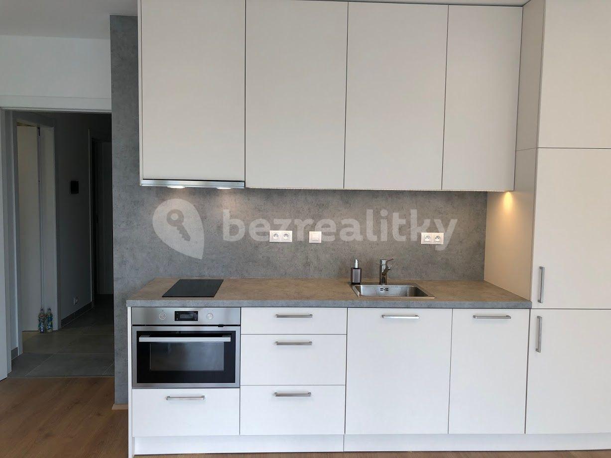 1 bedroom with open-plan kitchen flat to rent, 52 m², V jehličí, Prague, Prague