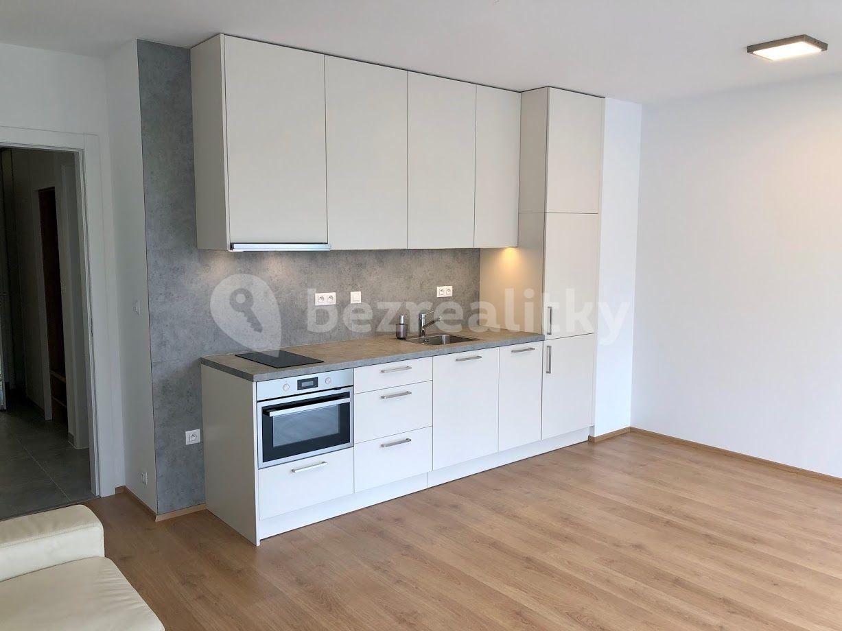 1 bedroom with open-plan kitchen flat to rent, 52 m², V jehličí, Prague, Prague