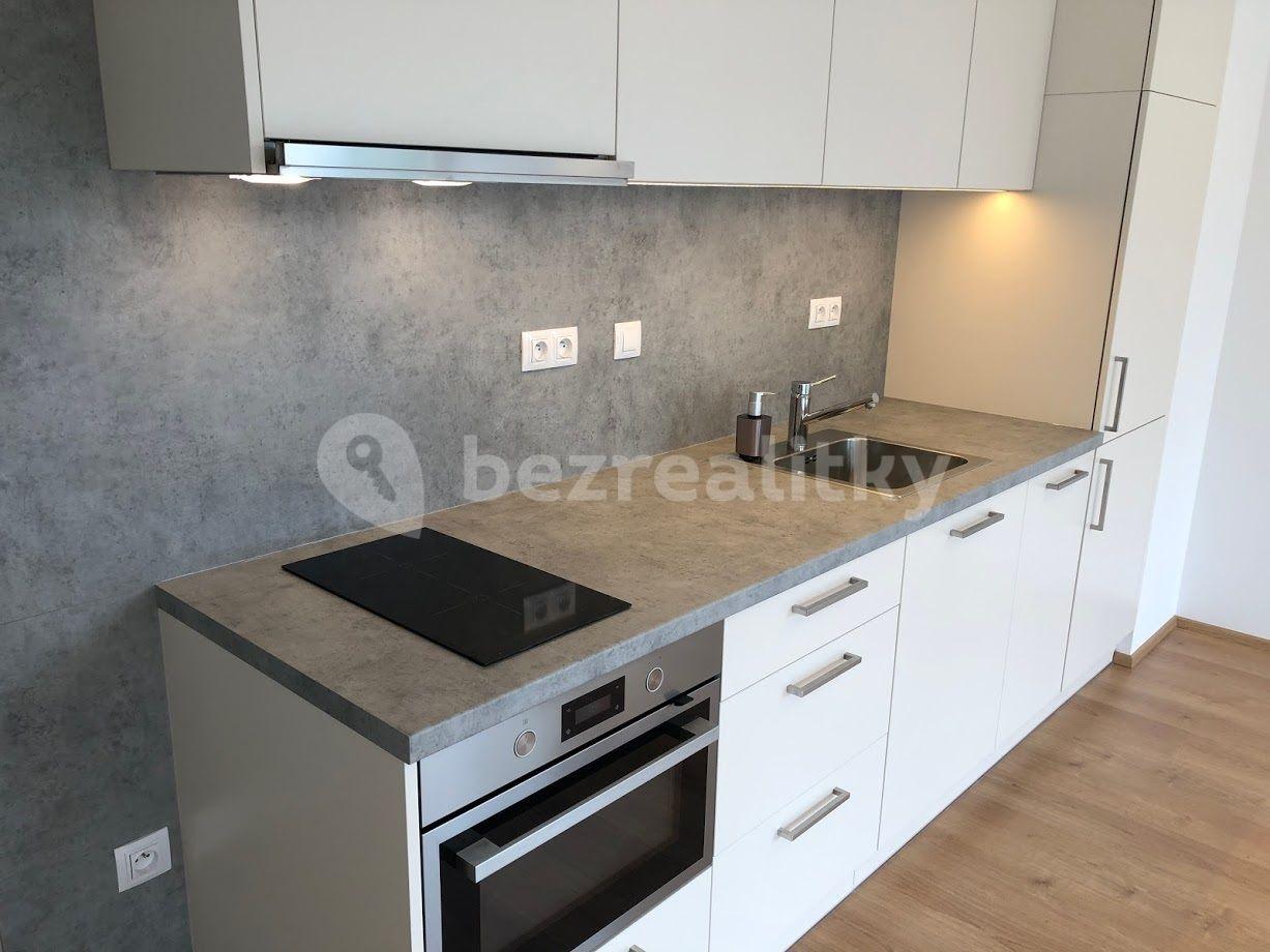 1 bedroom with open-plan kitchen flat to rent, 52 m², V jehličí, Prague, Prague