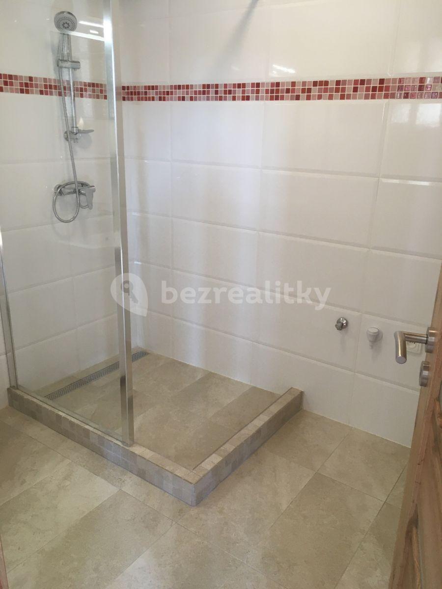 1 bedroom flat to rent, 43 m², Palachova, Litoměřice, Ústecký Region