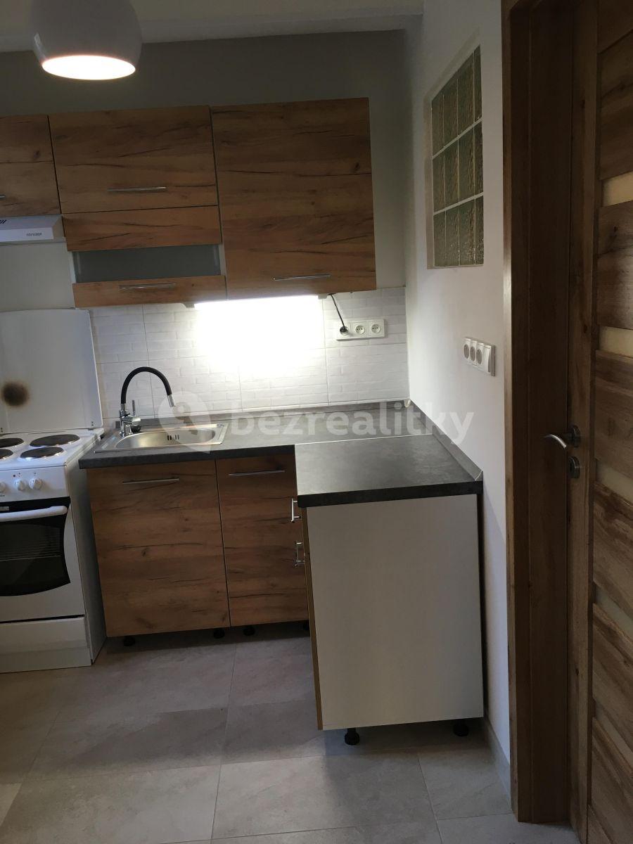 1 bedroom flat to rent, 43 m², Palachova, Litoměřice, Ústecký Region