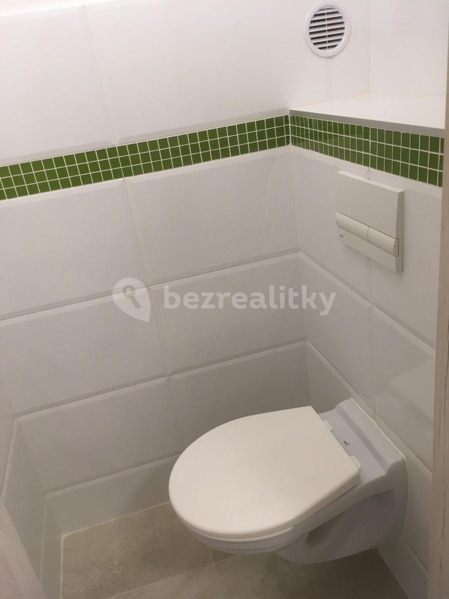 1 bedroom flat to rent, 43 m², Palachova, Litoměřice, Ústecký Region