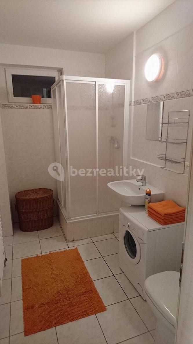 1 bedroom flat to rent, 22 m², Šedova, Prague, Prague