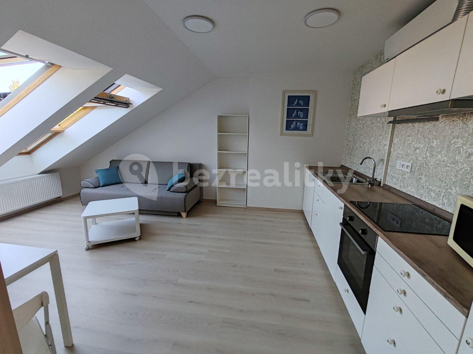 Studio flat to rent, 35 m², U Hrubých, Vestec, Středočeský Region