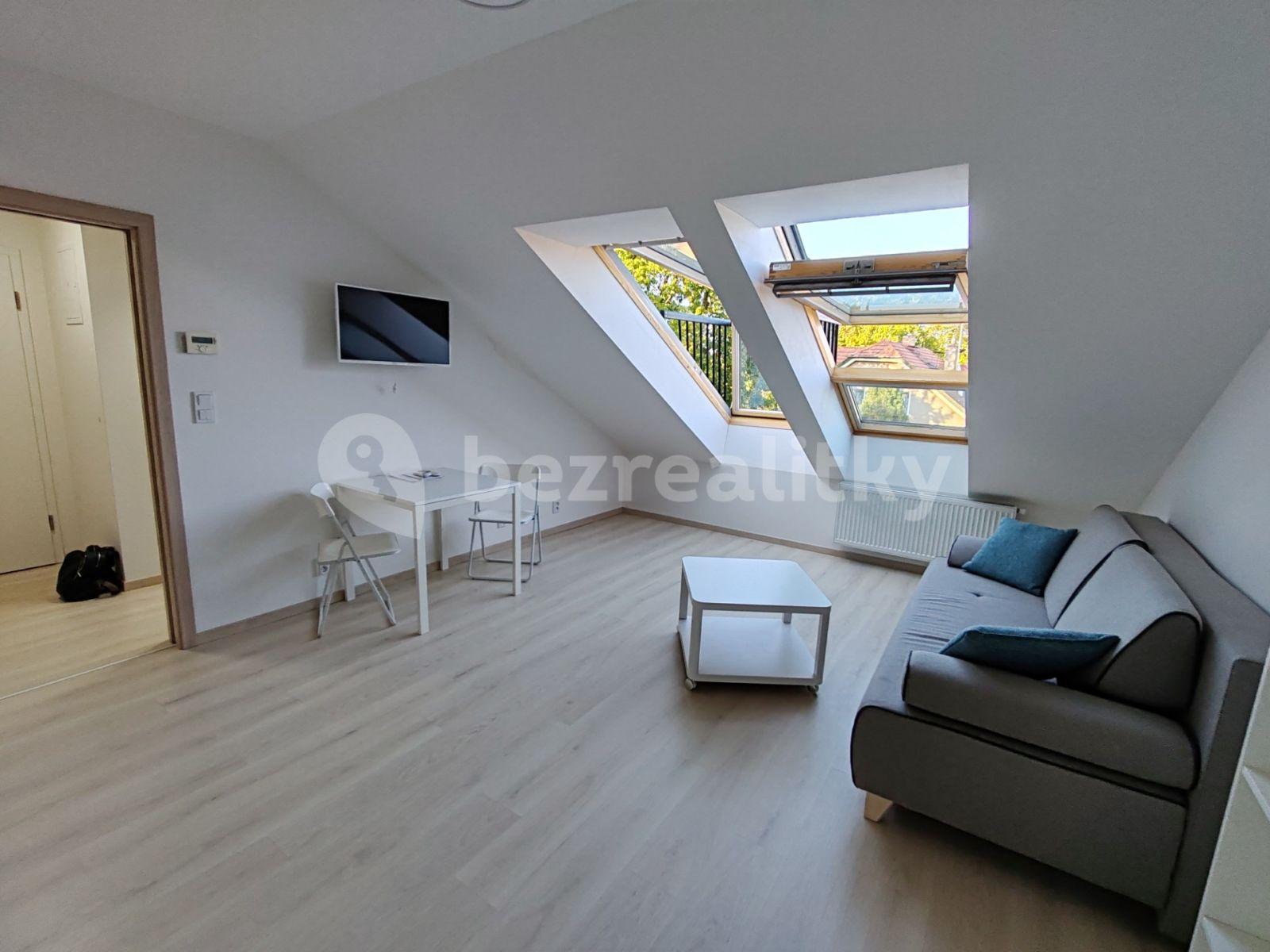 Studio flat to rent, 35 m², U Hrubých, Vestec, Středočeský Region