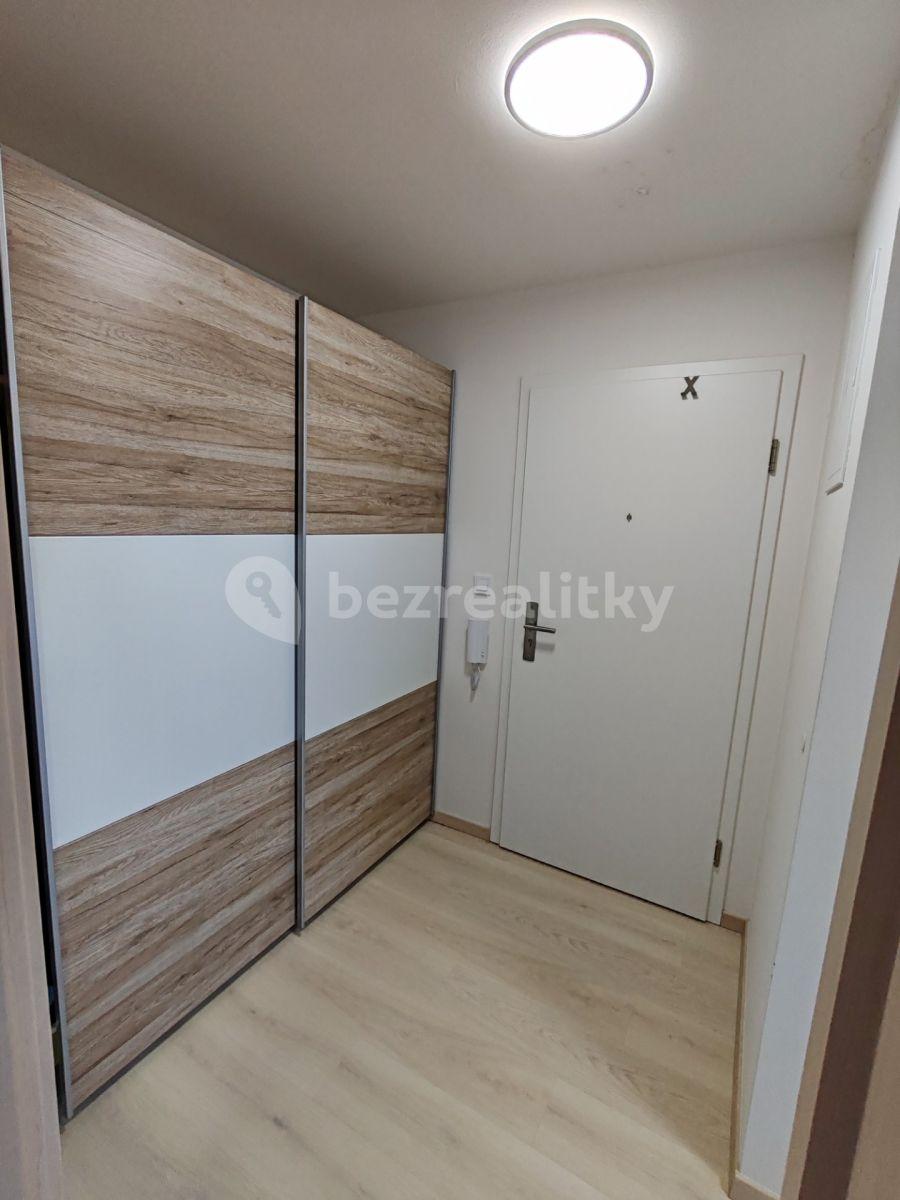 Studio flat to rent, 35 m², U Hrubých, Vestec, Středočeský Region