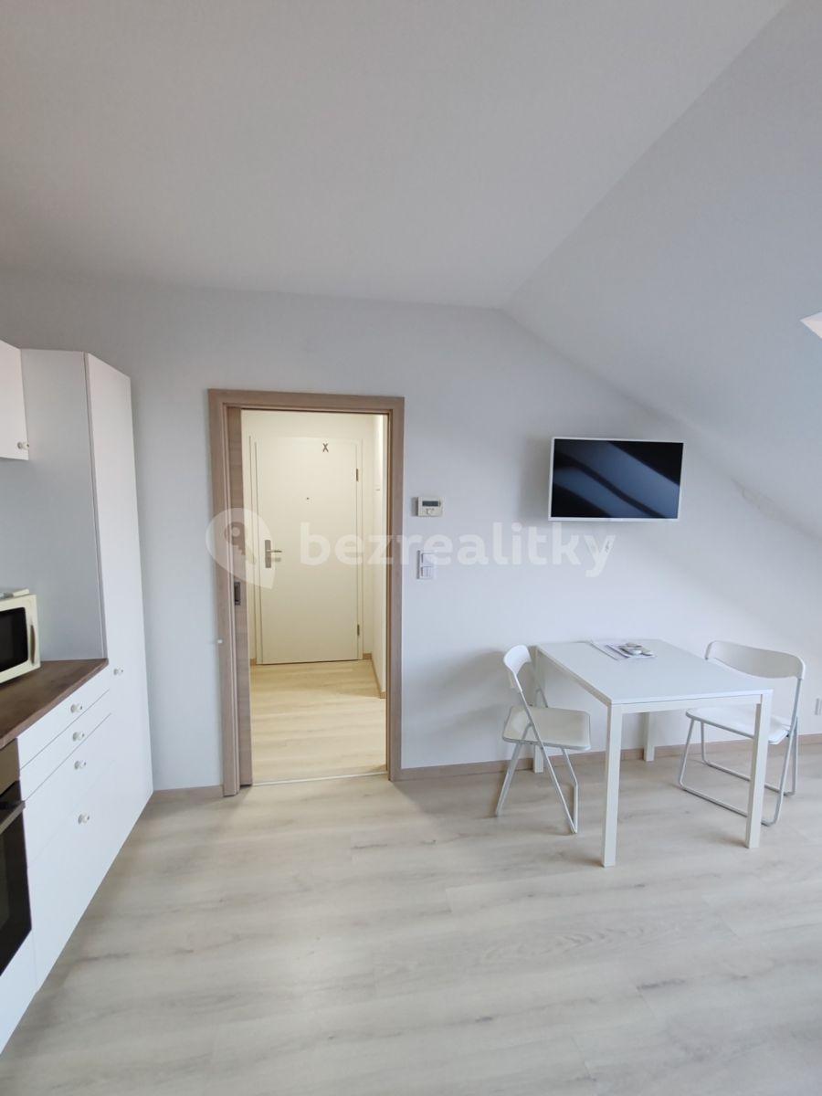 Studio flat to rent, 35 m², U Hrubých, Vestec, Středočeský Region