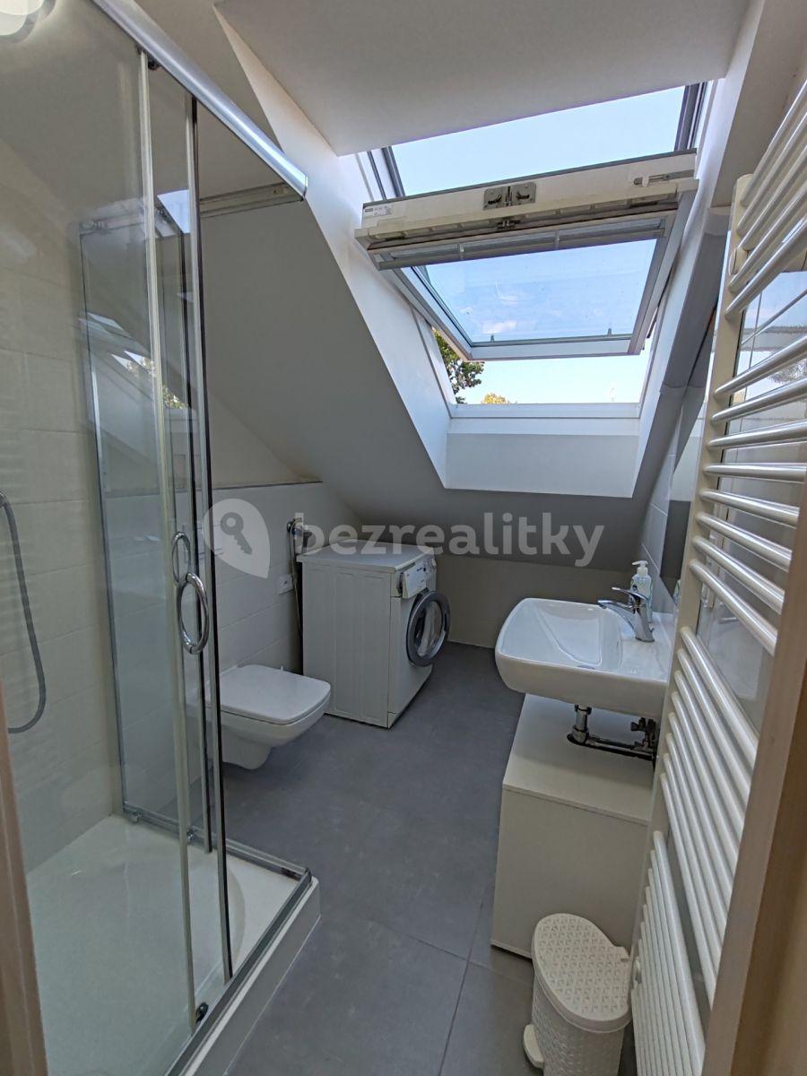 Studio flat to rent, 35 m², U Hrubých, Vestec, Středočeský Region