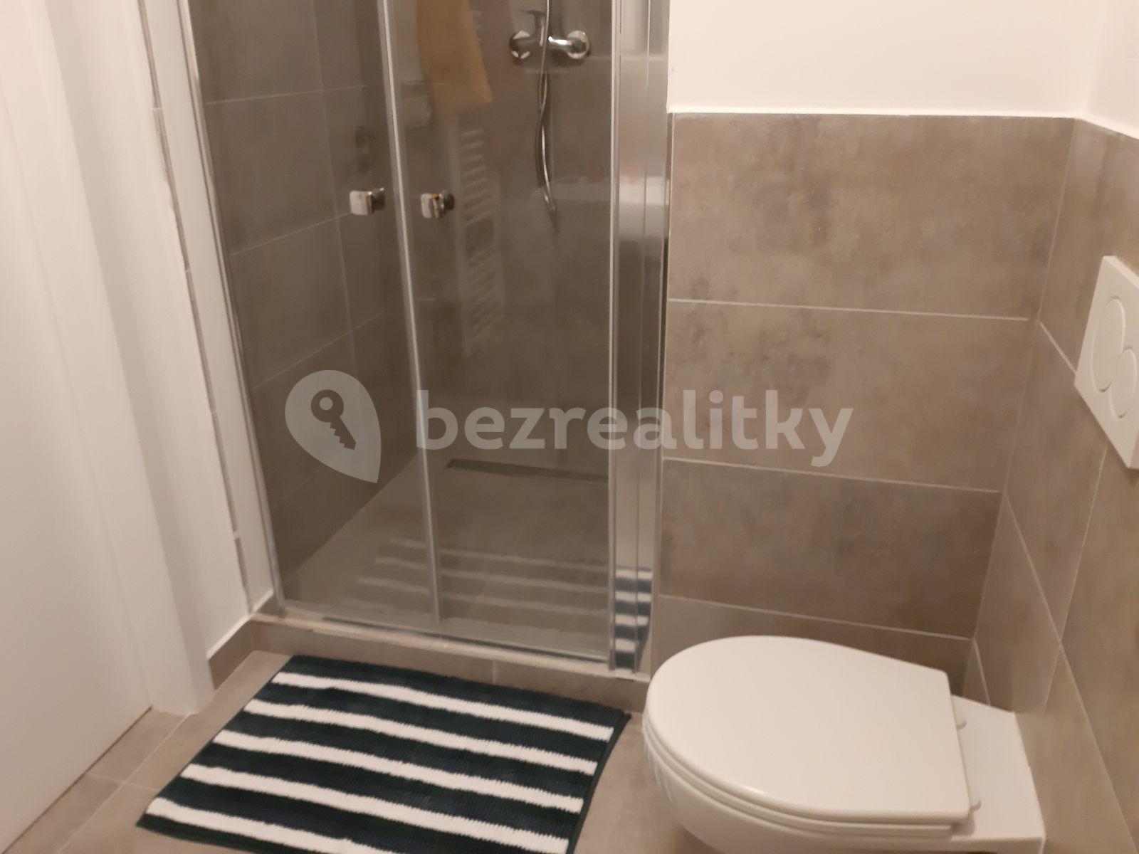 Studio flat to rent, 38 m², Horolezecká, Prague, Prague