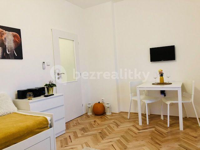 Studio flat to rent, 30 m², Kloboučnická, Prague, Prague