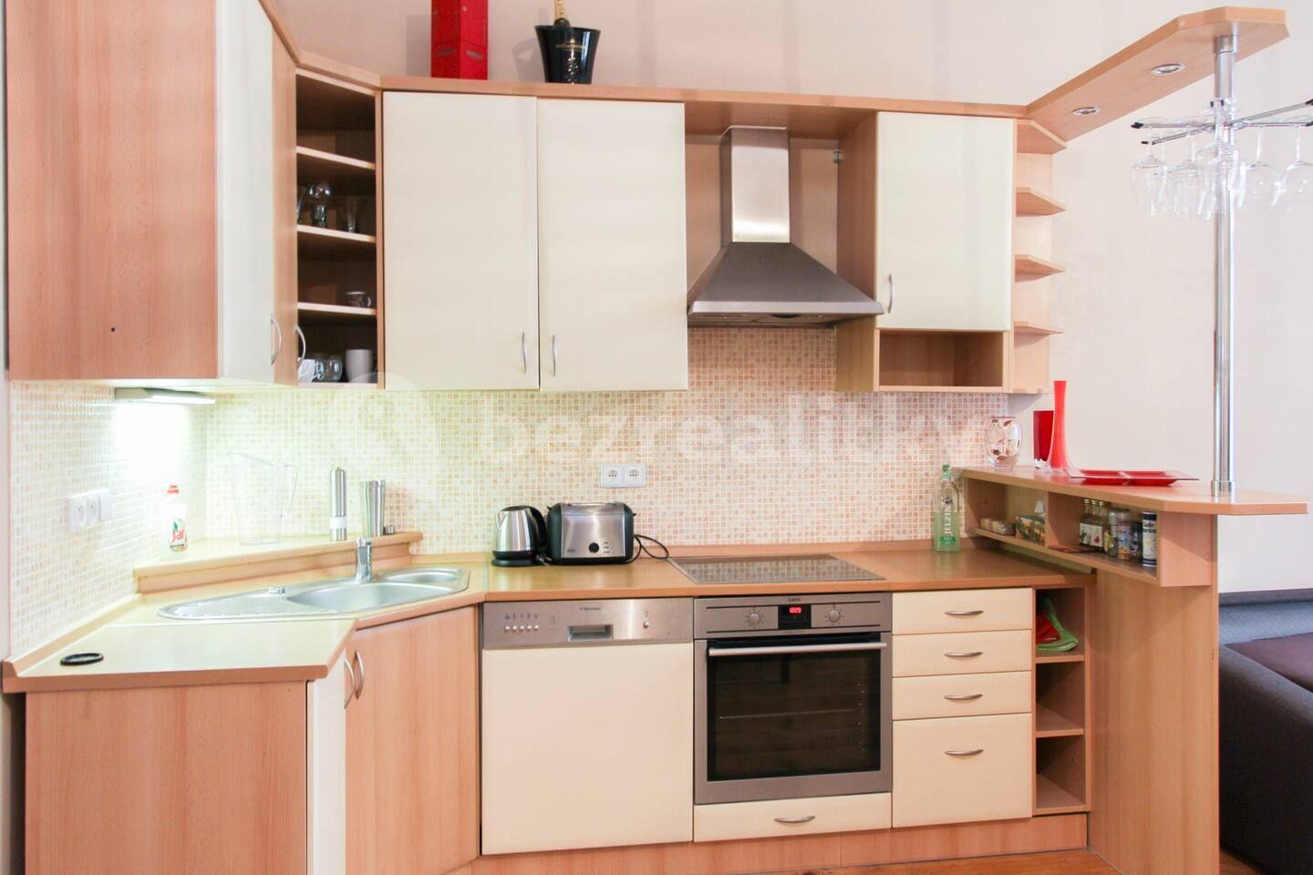 1 bedroom with open-plan kitchen flat to rent, 44 m², Havanská, Prague, Prague