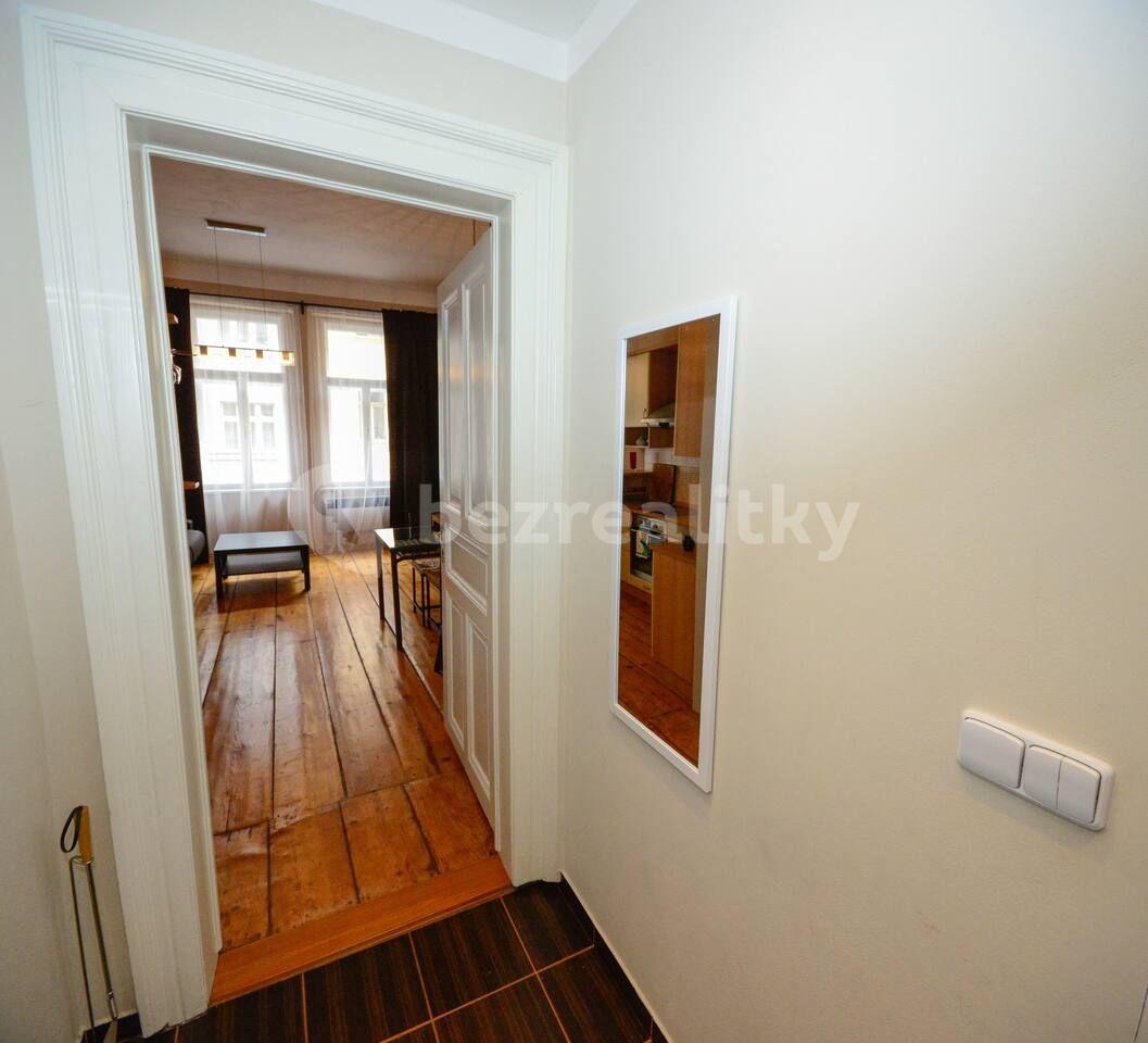 1 bedroom with open-plan kitchen flat to rent, 44 m², Havanská, Prague, Prague