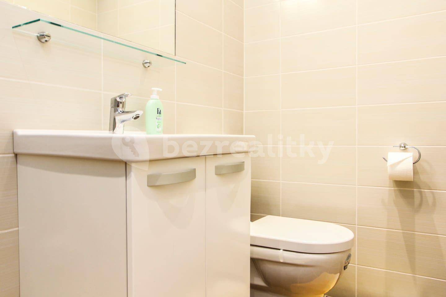 1 bedroom with open-plan kitchen flat to rent, 44 m², Havanská, Prague, Prague