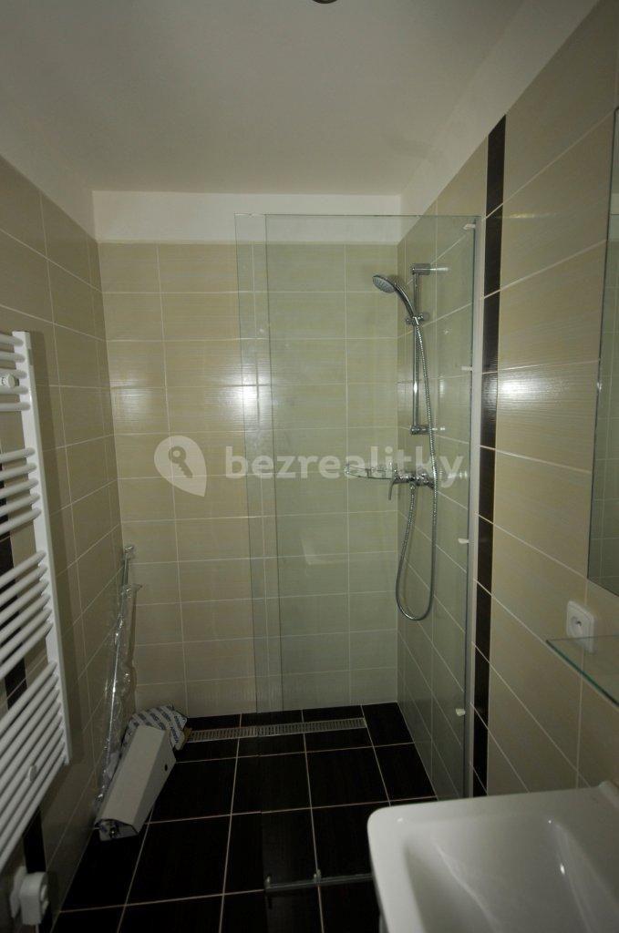 1 bedroom with open-plan kitchen flat to rent, 44 m², Havanská, Prague, Prague