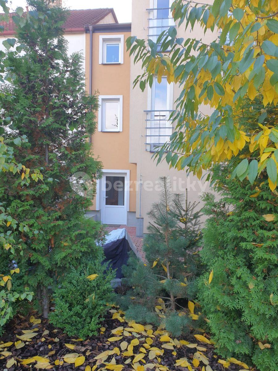 1 bedroom with open-plan kitchen flat to rent, 38 m², Na Radosti, Prague, Prague