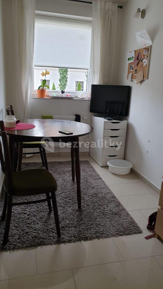 1 bedroom with open-plan kitchen flat to rent, 38 m², Na Radosti, Prague, Prague