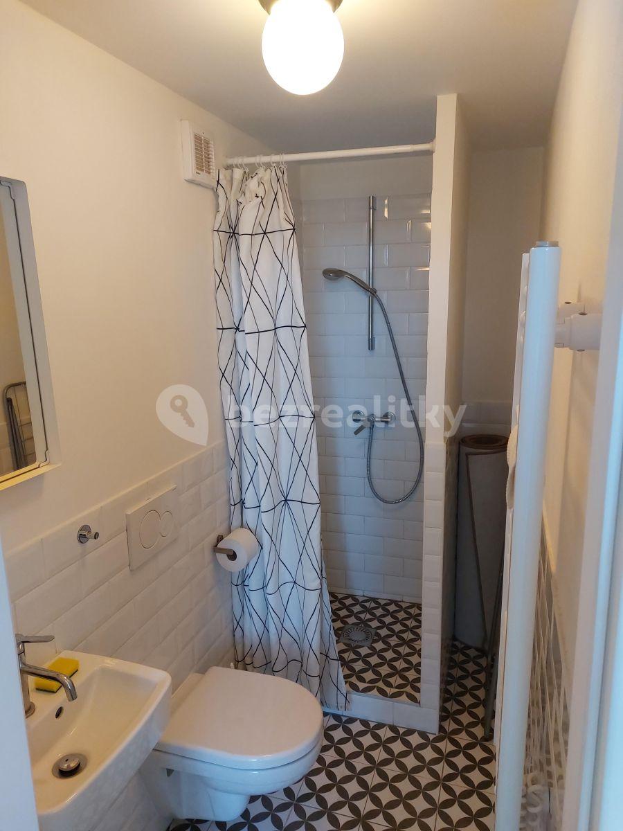 Studio flat to rent, 16 m², Křížová, Prague, Prague