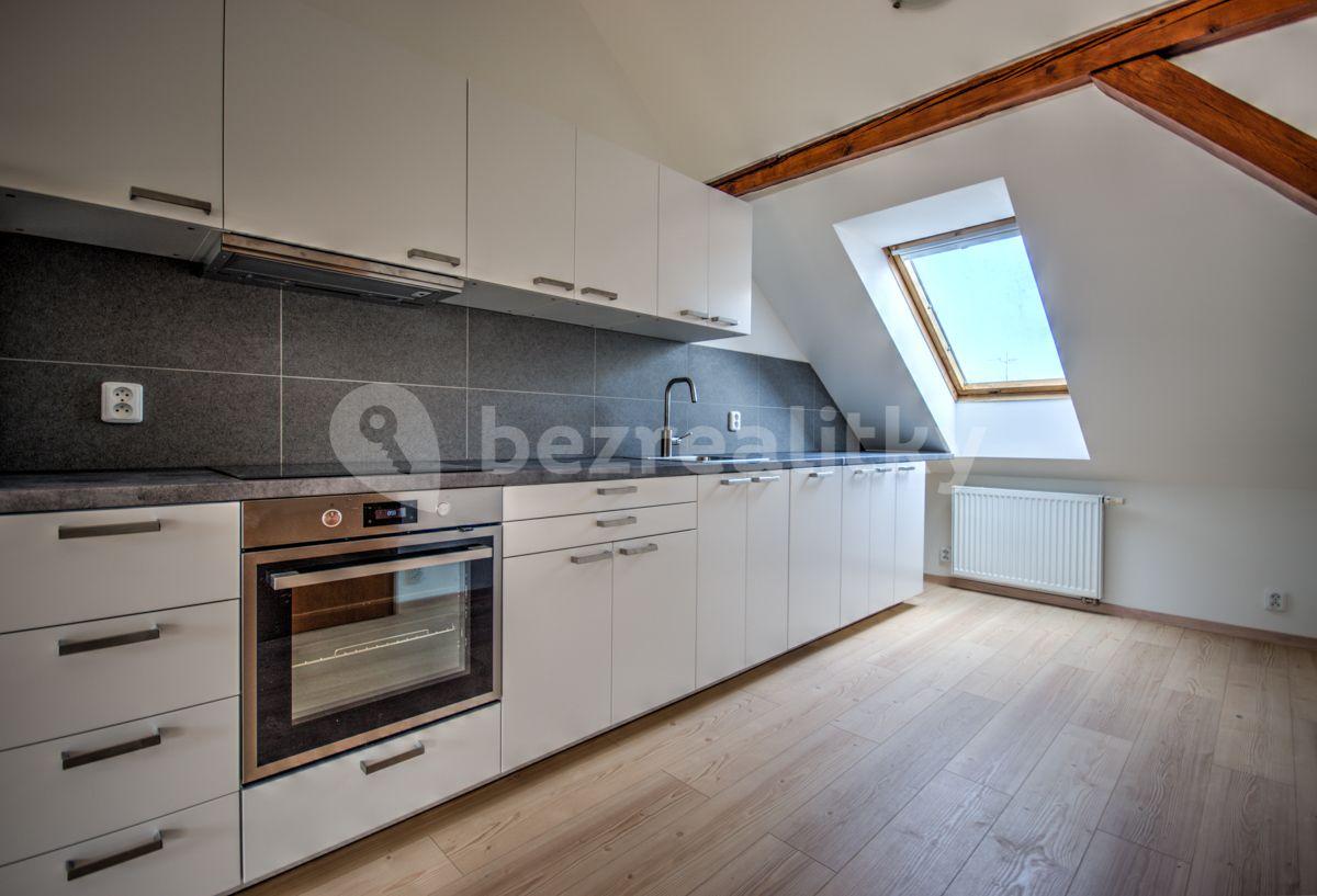 2 bedroom with open-plan kitchen flat to rent, 94 m², Mečislavova, Prague, Prague