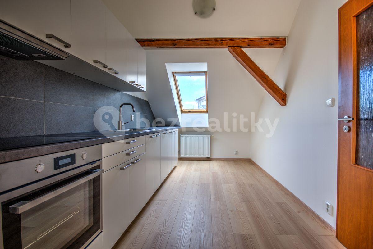 2 bedroom with open-plan kitchen flat to rent, 94 m², Mečislavova, Prague, Prague