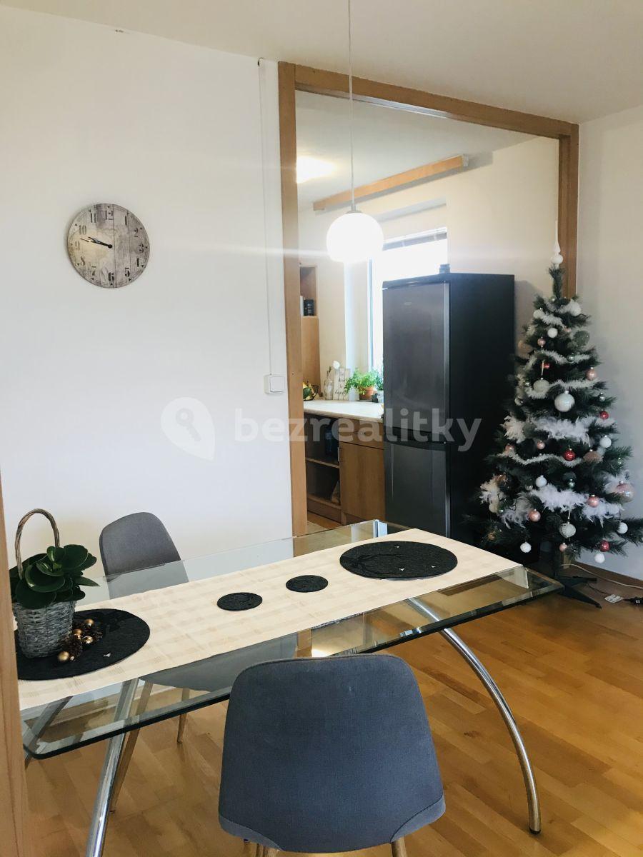 1 bedroom with open-plan kitchen flat to rent, 67 m², Makovského, Prague, Prague