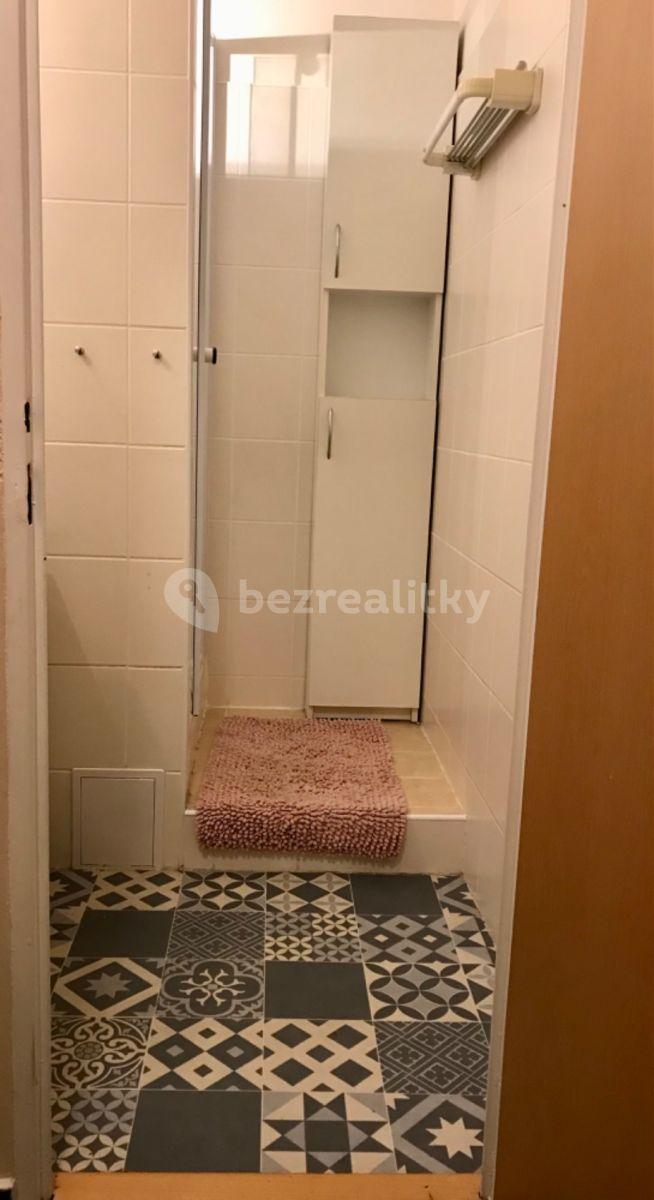 1 bedroom with open-plan kitchen flat to rent, 67 m², Makovského, Prague, Prague